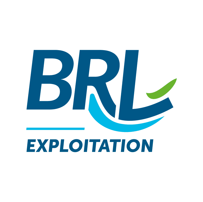 Logo_BRL