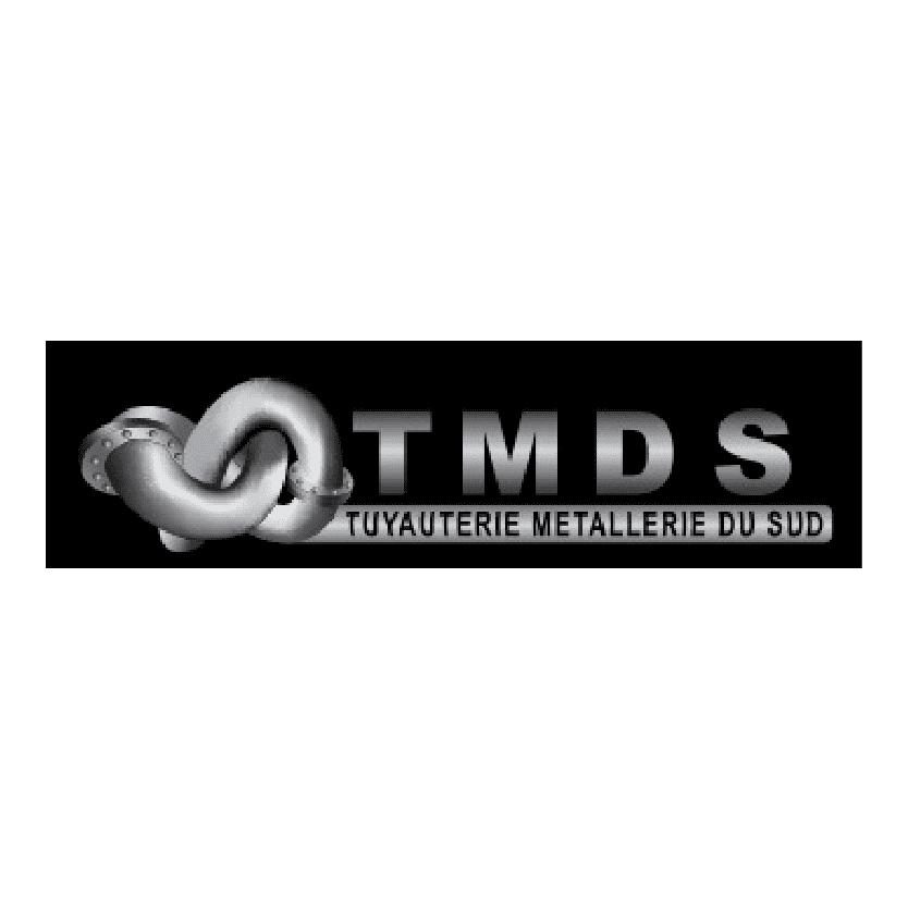 Logo_TMDS
